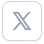 x icon